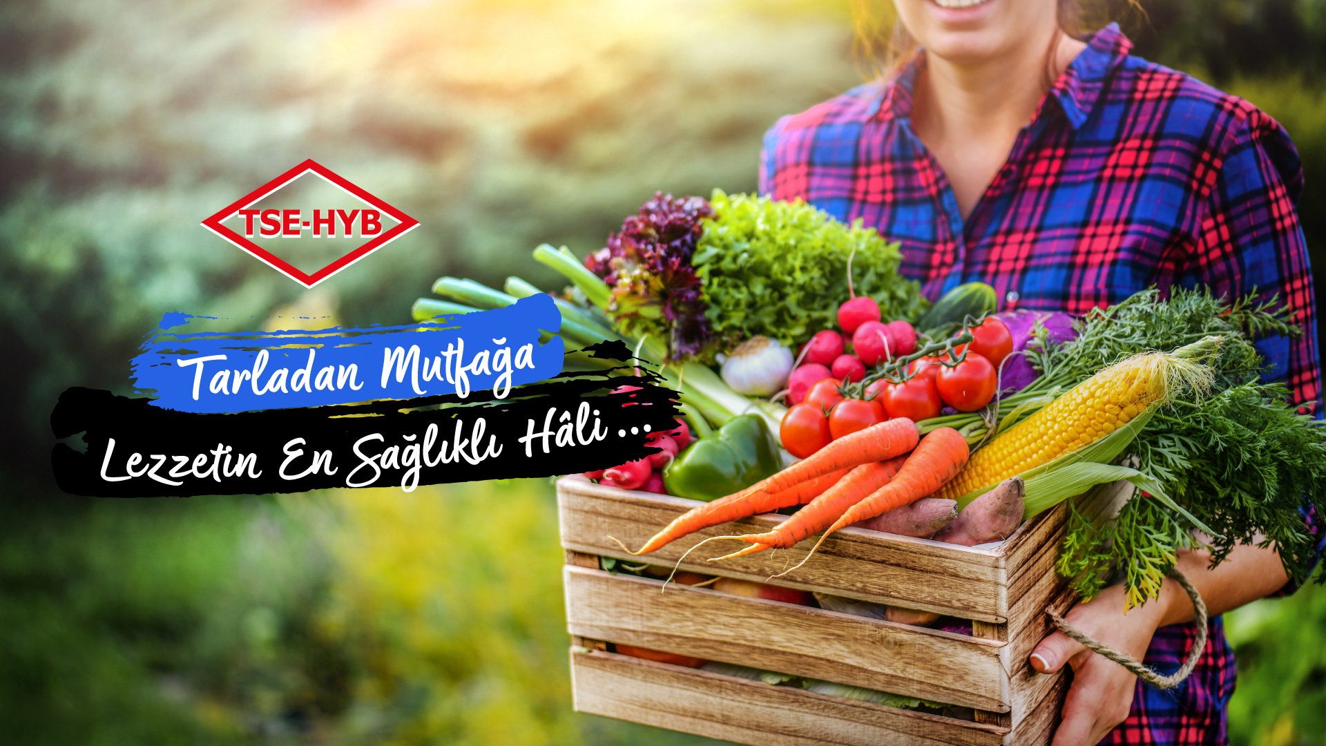 Taze sebzelerle tarladan mutfağa Duru yaklaşımı