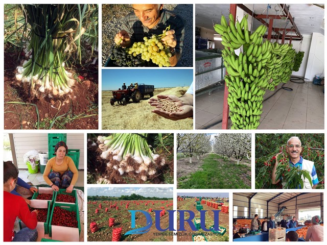 DURU-01 DURU-01